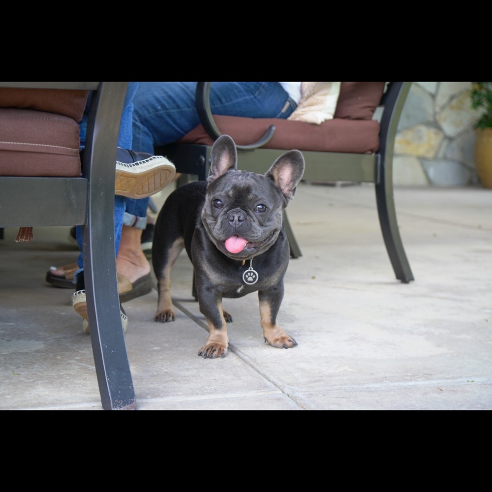 Meet your Posher, Hannah